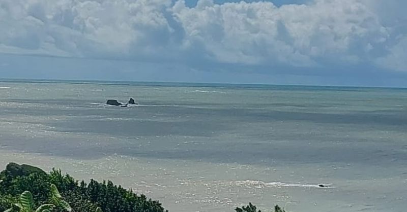 Imagem de praia no litoral sul da paraíba mostrando a preservação da vegetação no local.